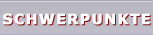 Schwerpunkte